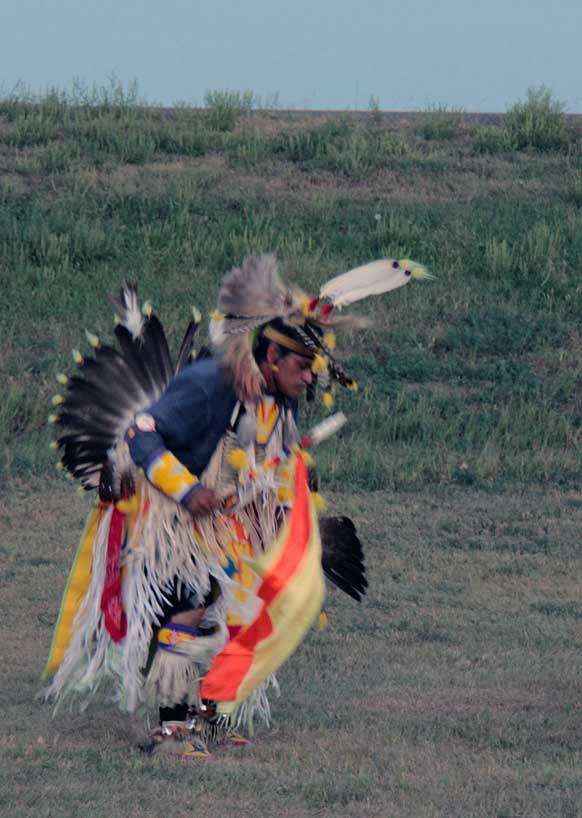 native bird dancing