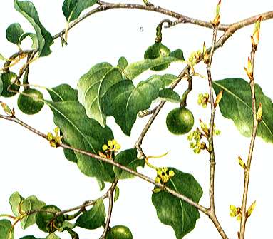 �A�u���`����