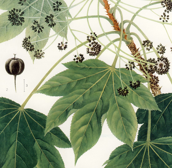 �n���M��