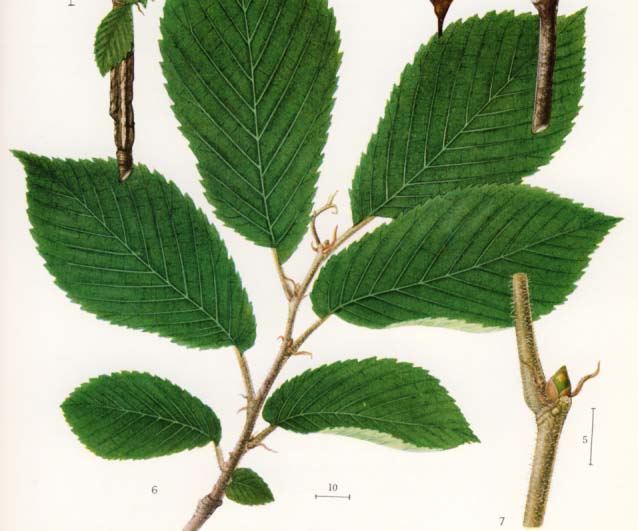 �n���j��