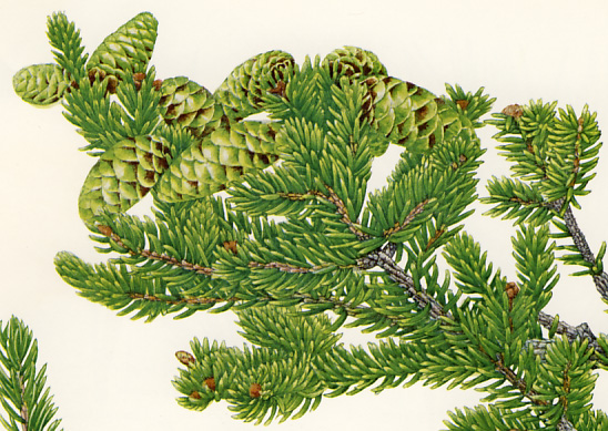 �q���o�����~