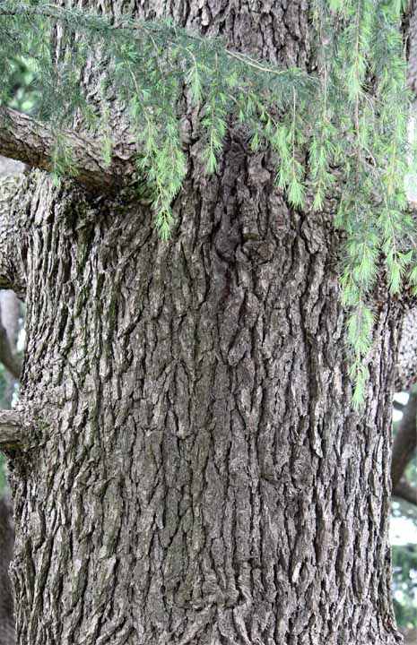 �q�}�����X�M