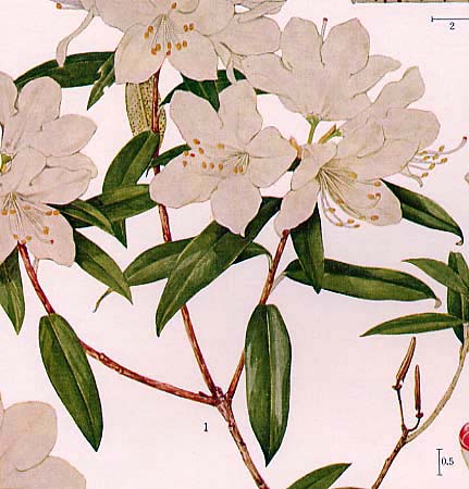 �q�J�Q�c�c�W