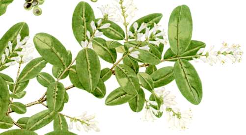 �C�{�^�m�L