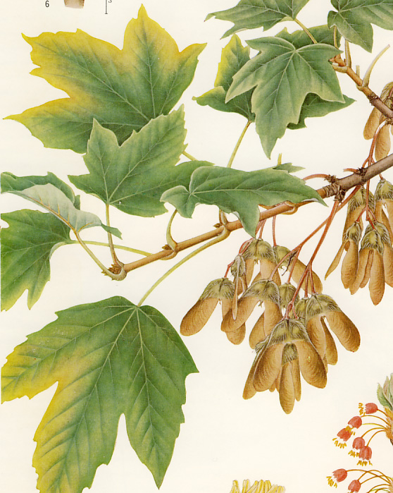 �J�W�J�G�f