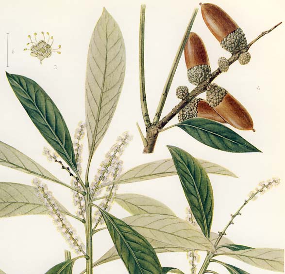 �}�e�o�V�C