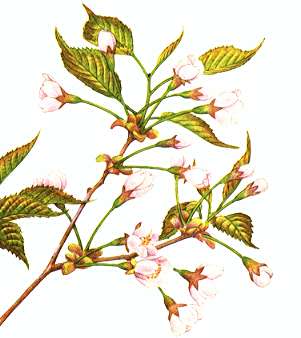 �~�l�U�N��