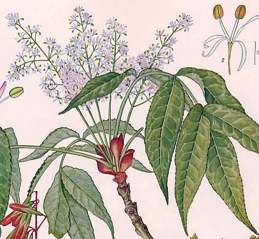 �~���}�A�I�_��