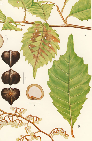 �~���}�n�n�\