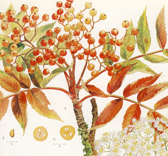 �i�i�J�}�h