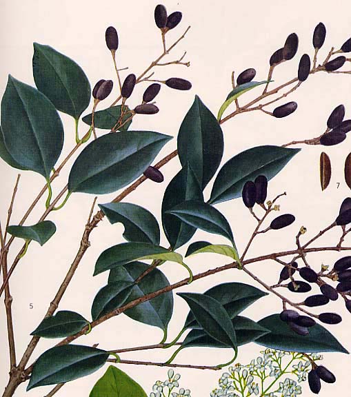 �l�Y�~���`