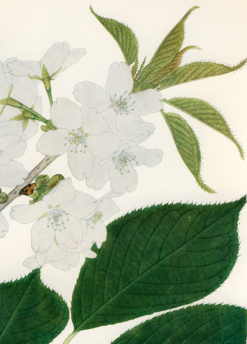 �I�I�V�}�U�N��