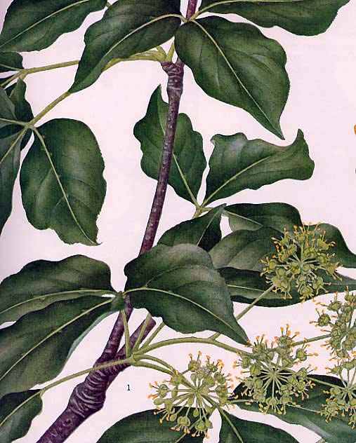 �^�J�m�c��