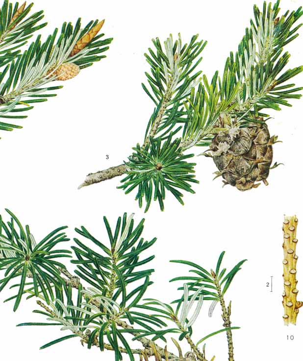 �g�K�T����