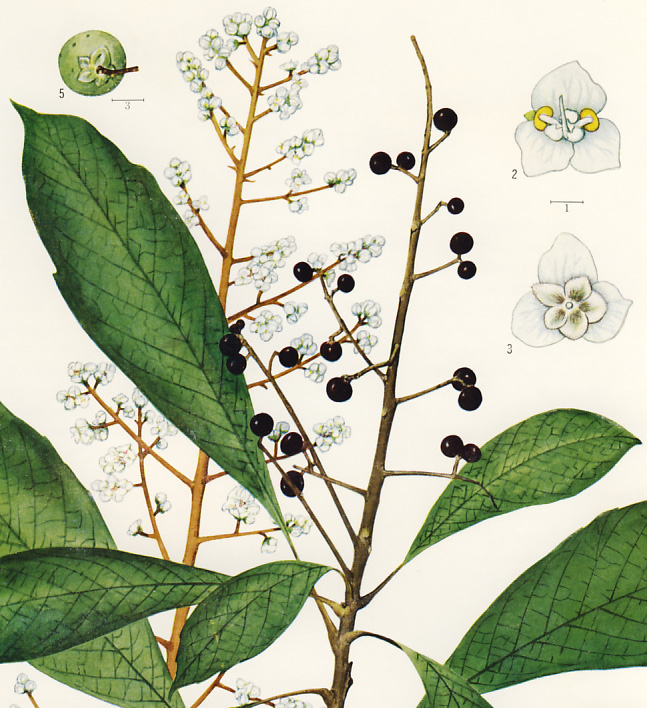 ���}�r��