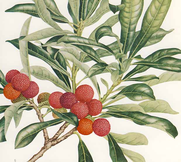 ���}����