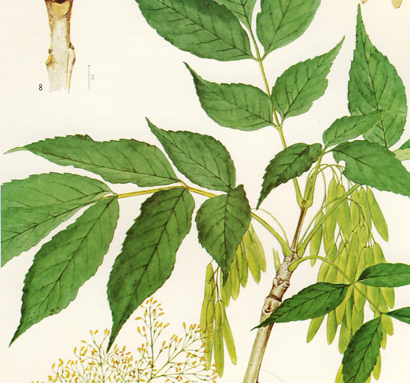 ���}�g�A�I�_��