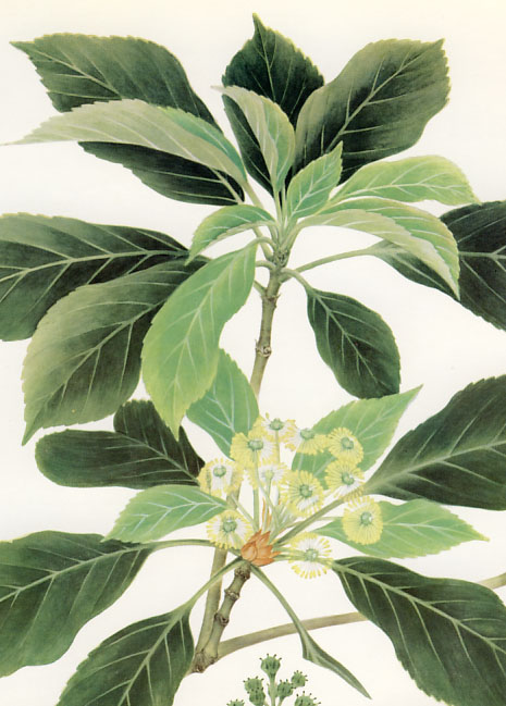 ���}�O���}