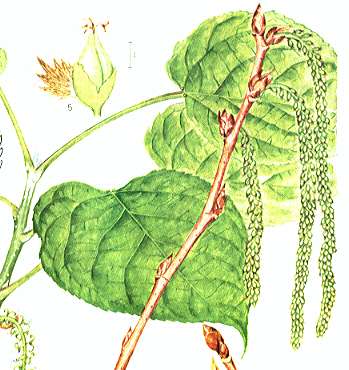 ���}�i���V