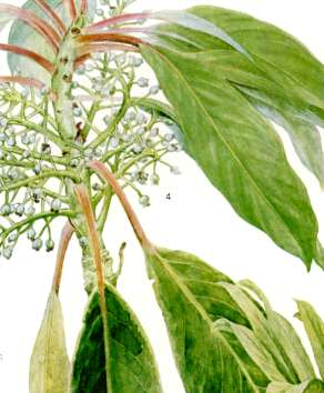 ���Y���n