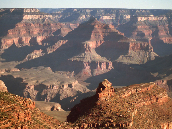 ���Ă��̃L���j�I��