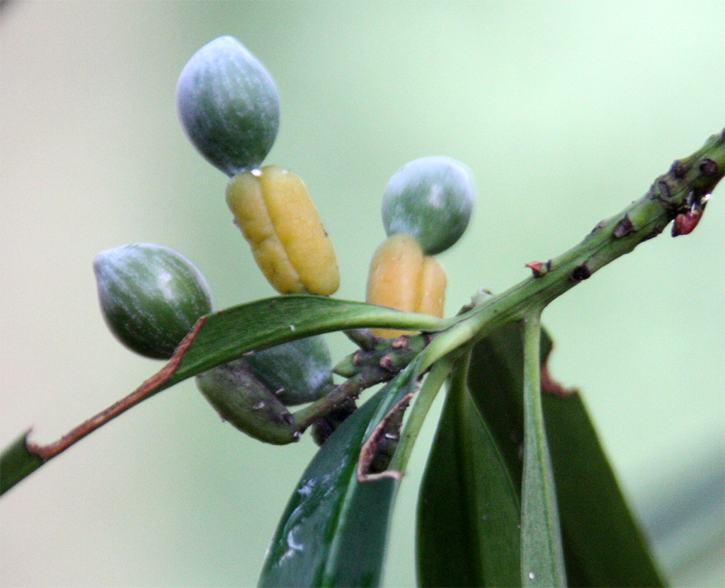 �q�}�����}�L