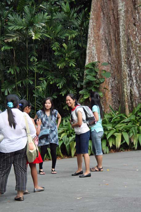 �V���K�|�[���A�����̐l�X